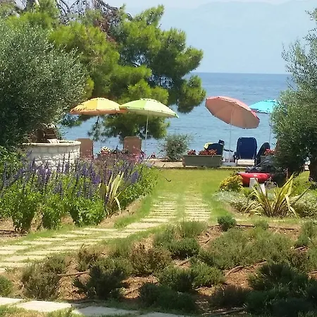 Meli Seaside 크라니