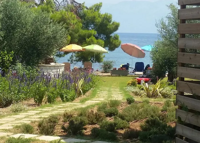 Meli Seaside 크라니